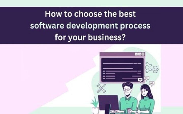 How to choose the best software development process for your business?
